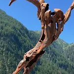 דירה Leitner Haeusl היליגנבלוט